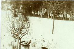 Historie českého lyžování