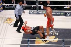 Vladimir Kličko vs. Kubrat Pulev