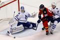 NHL: Toronto Maple Leafs at Florida Panthers (Jágr, Bernier, Pánik)