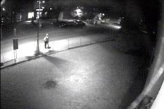 Dvůr Králové - oběť