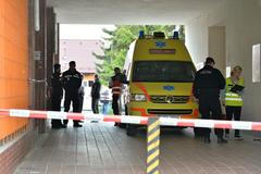 Vražda knihovnice v Horní Bříze