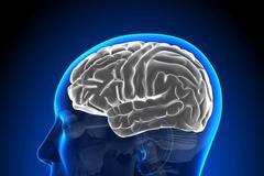 Mozková mrtvice? Polovina pacientů dorazí do nemocnice pozdě, varuje neurolog