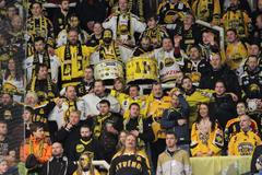 TELH, Kometa-Litvínov: fanoušci Litvínova