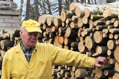 73letý dřevorubec a včelař Arnošt Klukas