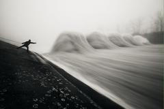 Czech Press Photo 2013