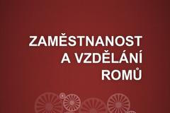Pracovní aktivita Romů - úvodní obrázek