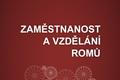Pracovní aktivita Romů - úvodní obrázek