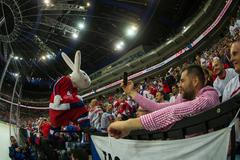 MS 2015, Česko-Rakousko: Bob a Bobek