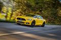 Ford Mustang - čelní