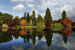 Snímky Reuters na dražbu pro charitu Šance pro děti