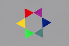 Květy: Miláček slunce