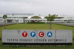 TPCA Kolín - logo