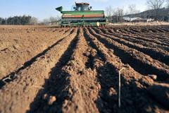 Zemědělství, kombajn, ilustrační foto