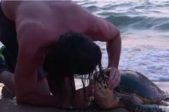 Trojice mladíků zachránila želvu