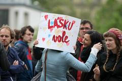 Brno blokovalo pochod neonacistů - finální foto