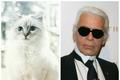 Karl Lagerfeld