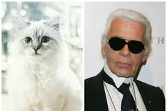 Karl Lagerfeld