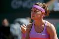 Lucie Šfářová v semifinále French Open 2015 proti Aně Ivanovičové
