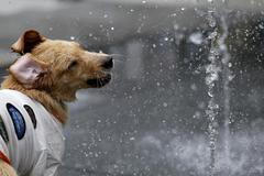 Léto v plném proudu