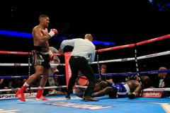 Zápas Anthony Joshua vs. Kevin Johnson