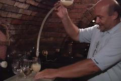 Jak se pozná kvalitní burčák