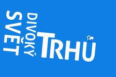 Devizové trhy jsou proměnlivé, nestabilní a nepředvídatelné