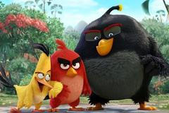 Angry Birds Terrence