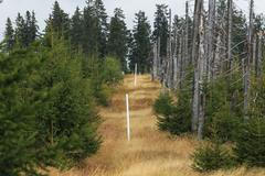 Národní park Šumava 24.9. 2015 - Tk o kůrovci