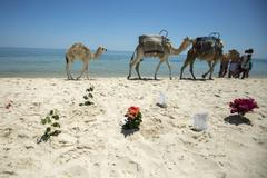 Život v letovisku se pomalu vrací d onormálu. Hrůzný čin však stále připomínají všudypřítomné květiny.