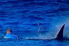 Mick Fanning bojuje se žralokem