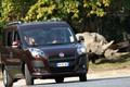 Fiat Doblo 2010
