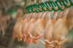 Vodňanská drůbež, Vodňanské kuře