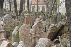 Židovské muzeum v Praze - židovský hřbitov