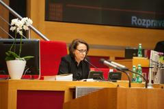 Pokus o odvolání primátorky