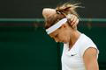 Wimbledon 2015: Lucie Šafářová