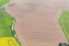 Řepkoland - letecké pohledy na žlutá řepková pole, zabírající více než desetinu půdy