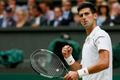 Wimbledon 2015: Novak Djokovič