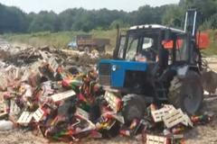 Ruské buldozery drtí potraviny ze Západu. Došlo i na mrkev