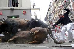 An El Tajo y La Reina ranch fighting bull falls to the ground as it takes the Mercaderes curve during the second running of the bulls of the San Fermin festival in Pamplona