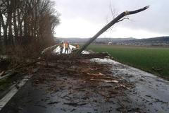 Hasiči - Olomoucký kraj - zásah