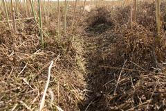 Špatné obhospodařování půdy způsobuje půdní erozi - tedy odstranění kvalitní ornice větrem nebo působením vody. Na fotografii je erozní rýha v řepkovém strništi na Vyškovsku.