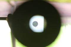 Tereza Bursíková, střelkyně z historických zbraní