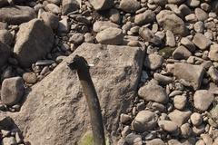 Sucho Labe v Ústí nad Labem 24. 7. 2015