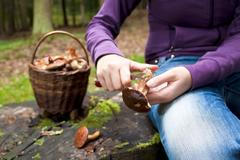 Houba - houby - houbaření - houbař