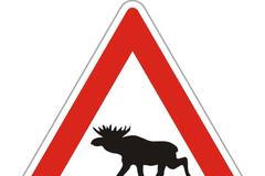 Pozor los - návrh nové dopravní značky