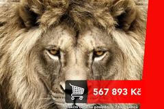 grafika - Vybíjení zvířat pokračuje