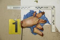 Podezřelý balíček