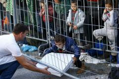 Muž podává pizzu běžencům, čekajícím v Šentilji na slovinsko-rakouské hranici.