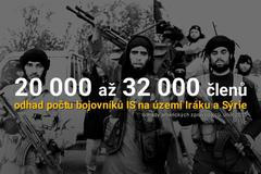 grafika - počet členů IS