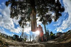 Vánoční smrk pro Prahu